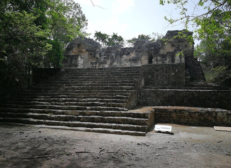 Picture 5 for Activity Calakmul Full-Day Expedition from Playa del Carmen 5