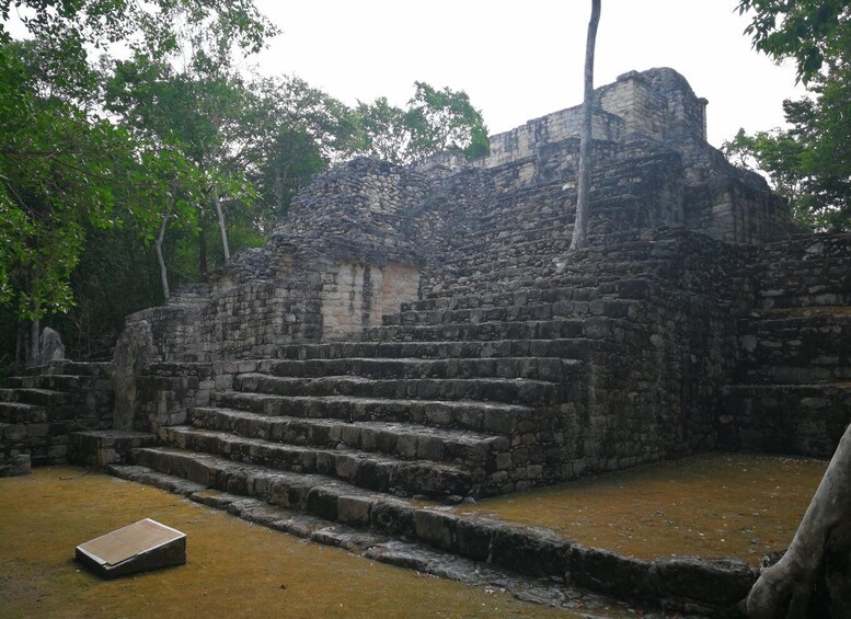 Picture 3 for Activity Calakmul Full-Day Expedition from Playa del Carmen 2