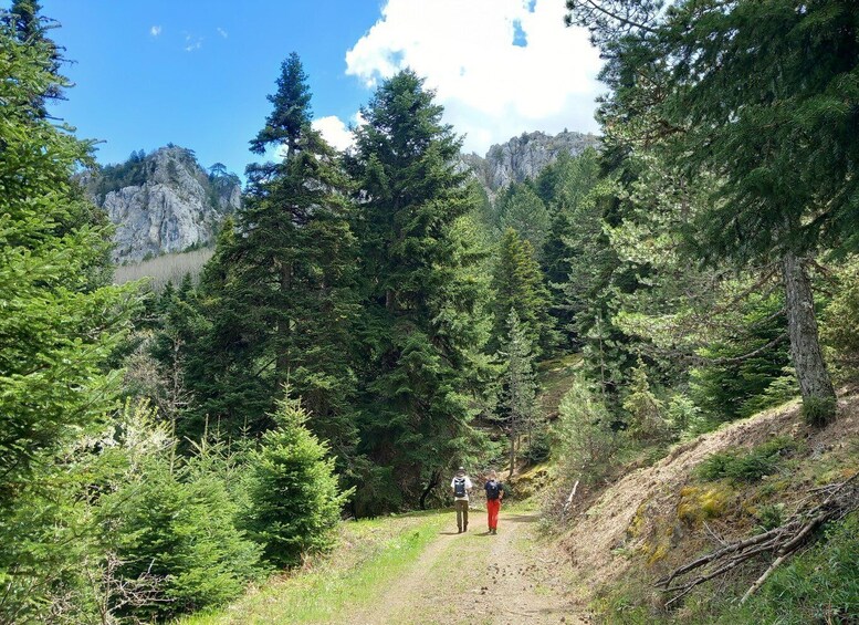 Picture 3 for Activity From Ziakas: Pindus National Park Guided 4x4 Tour 4