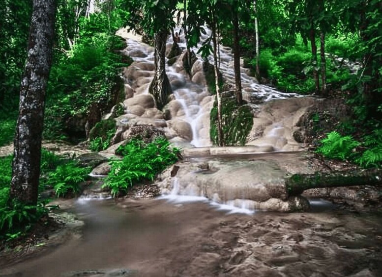 A waterfall cascading over rocks in a forested area. 3
