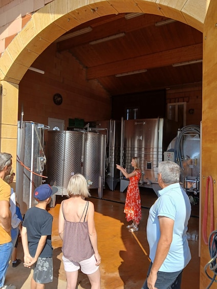Pouilly-le-Monial: Discover our world and food tasting (Beaujolais) 1