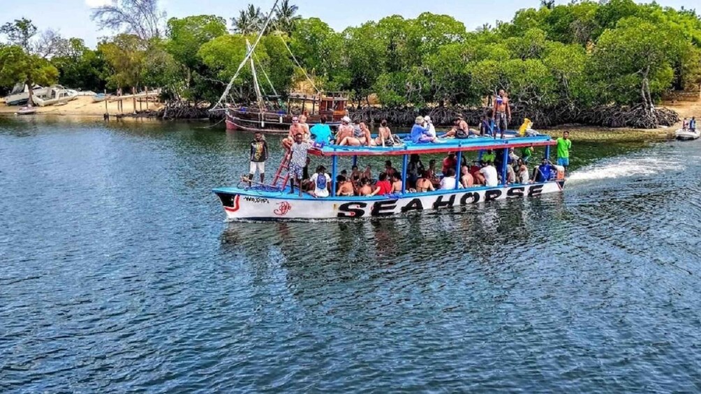 A boat named 'SEA HORSE' with passengers on a calm river surrounded by greenery. 4