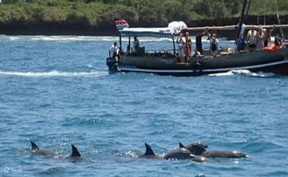 A boat with people on the water, dolphins swimming nearby. 2