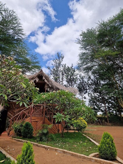 A rustic thatched-roof structure surrounded by lush greenery and a clear sky. 3