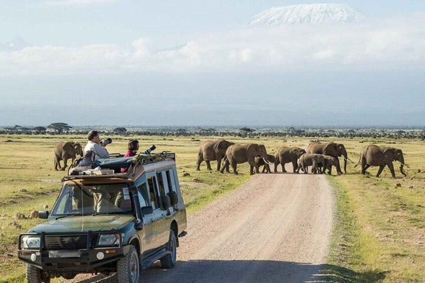 A safari vehicle on a dirt road with elephants in the background. 1