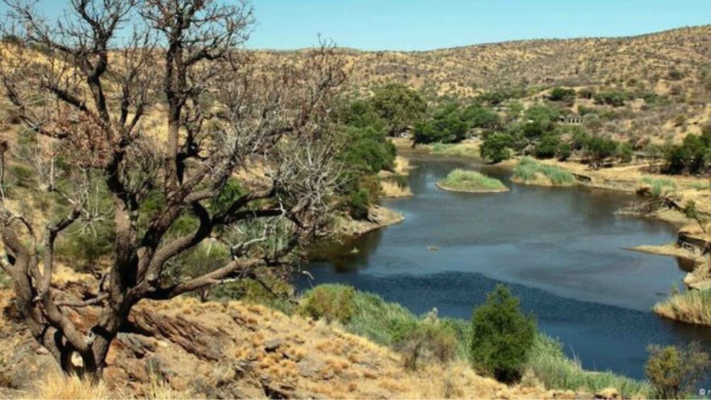 A dry riverbed with sparse vegetation and a prominent dead tree. 3