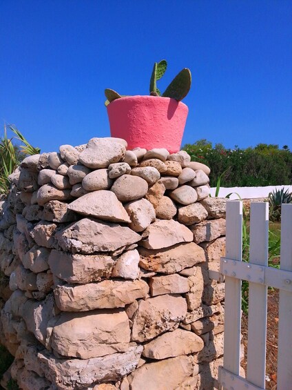 Lecce: Aperitivo Creativo 1