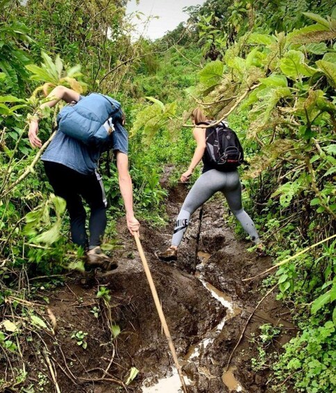 Picture 2 for Activity From Kigali: 2 Day Hiking and Gorilla Trekking Experience 5