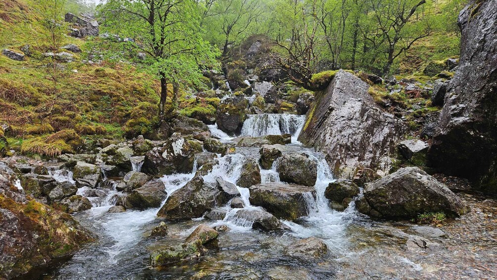 Picture 3 for Activity Glencoe: Hiking Tour With Local Guide 2