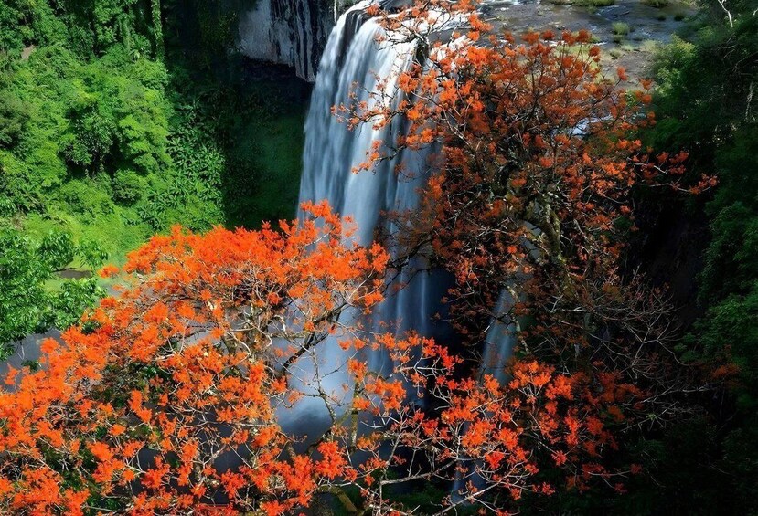 Picture 11 for Activity Quy Nhon: K50 Waterfall 2-Day Jungle Expedition 5