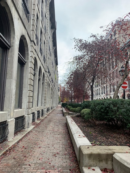 Montreal Old Port Walking Tour with Pastry Tasting x Scholar 1