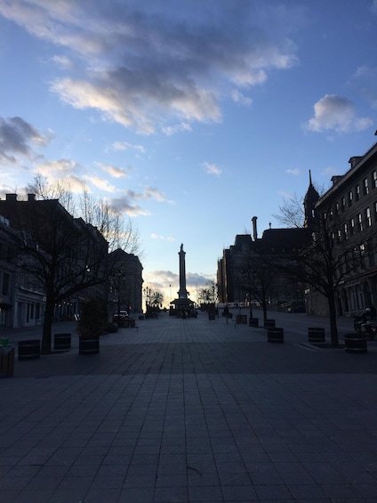 Picture 5 for Activity Montreal Old Port Walking Tour with Pastry Tasting x Scholar 3