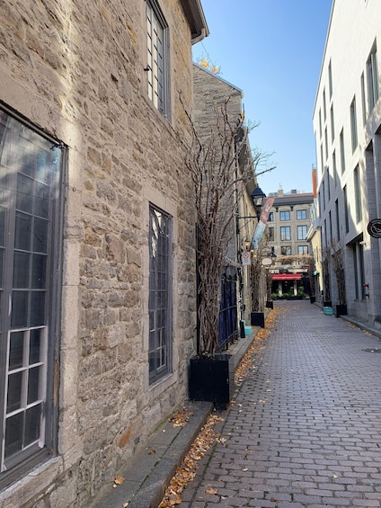 Picture 1 for Activity Montreal Old Port Walking Tour with Pastry Tasting x Scholar 4