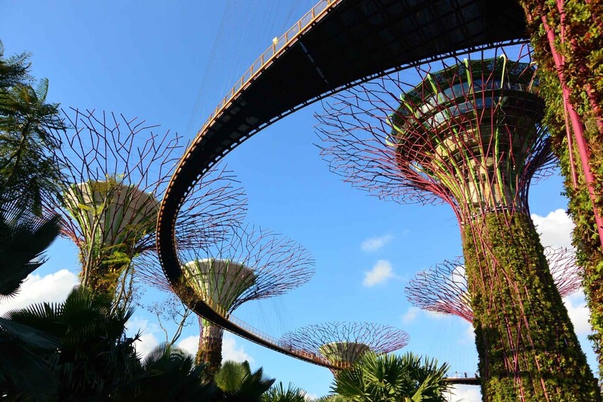 A bridge with a curved design, surrounded by lush greenery and palm trees. 1