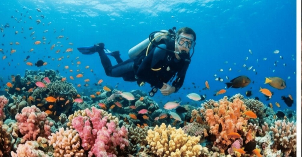 Bintan Island: Scuba Diving Experience with Instructor 1