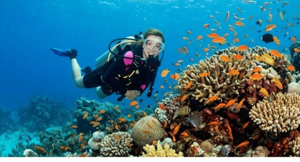 Picture 2 for Activity Bintan Island: Scuba Diving Experience with Instructor 3