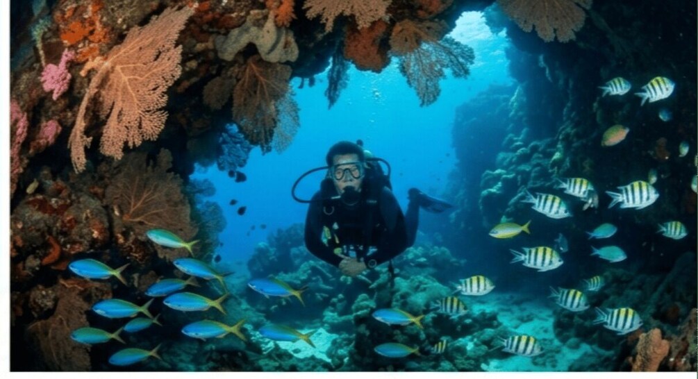 Picture 3 for Activity Bintan Island: Scuba Diving Experience with Instructor 2
