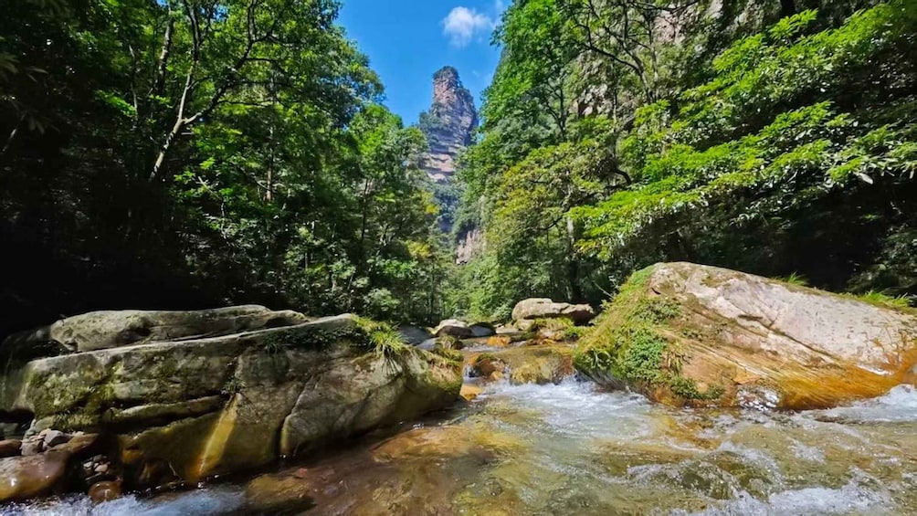Picture 1 for Activity Zhangjiajie National Park-Mt.Avatar Landing Tour 3