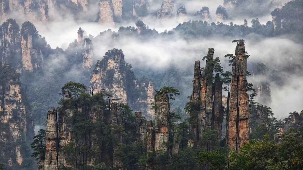 Picture 2 for Activity Zhangjiajie National Park-Mt.Avatar Landing Tour 2