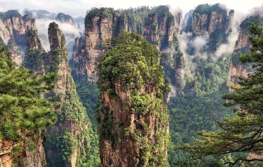 Zhangjiajie National Park-Mt.Avatar Landing Tour 1