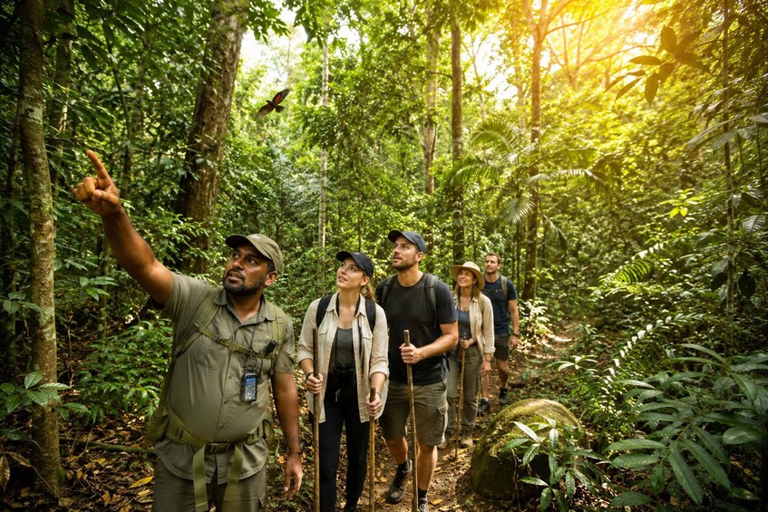 Habarana: Jungle Walk with Guide, Lunch, and Pickup 1