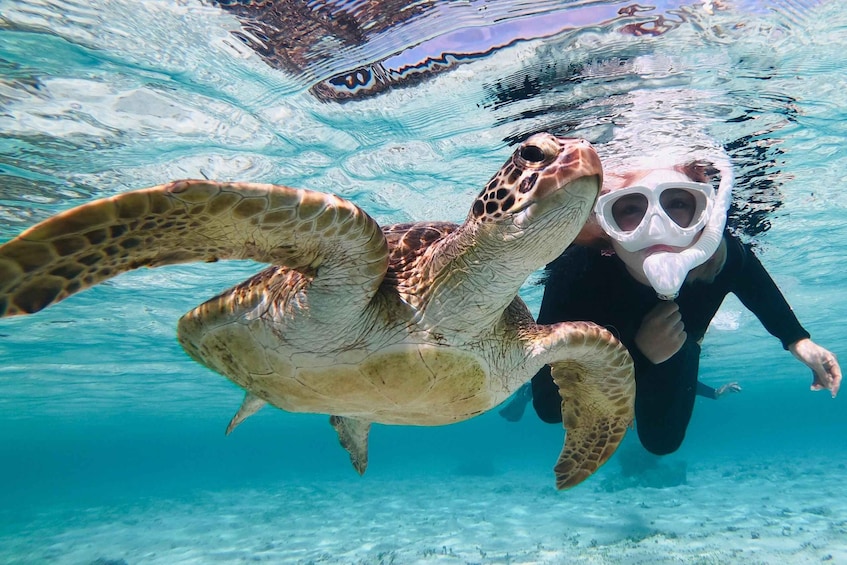 A person snorkeling with a sea turtle. 1