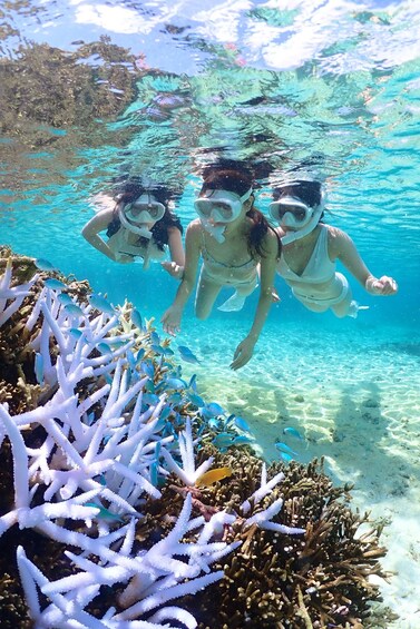 Three people snorkeling near coral reefs. 3