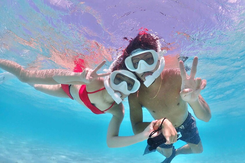 Two people snorkeling underwater with snorkels and masks. 5