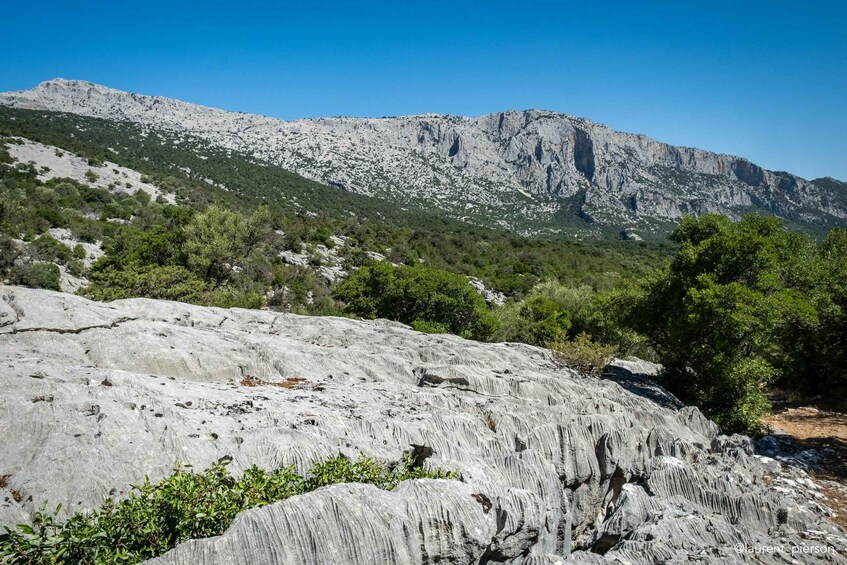 Picture 2 for Activity Dorgali: Sa Nurre de su Hoda Cave Tour with Guide 3