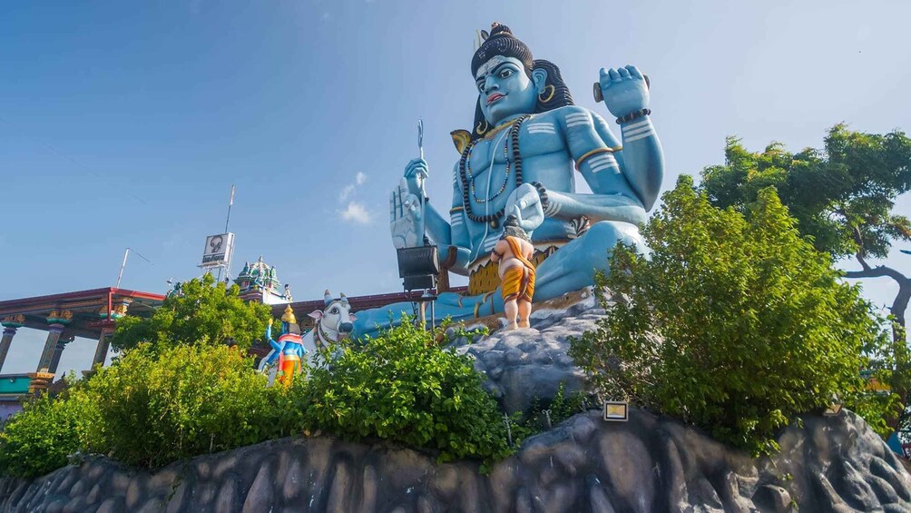 Picture 1 for Activity From Colombo: 8-Day Ramayana Tour in Sri Lanka 4