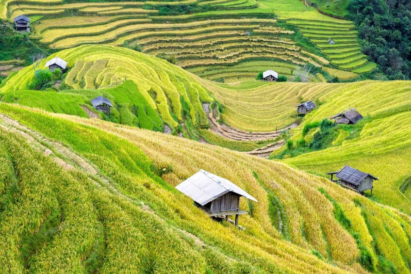 Terraced rice fields with traditional houses. 4