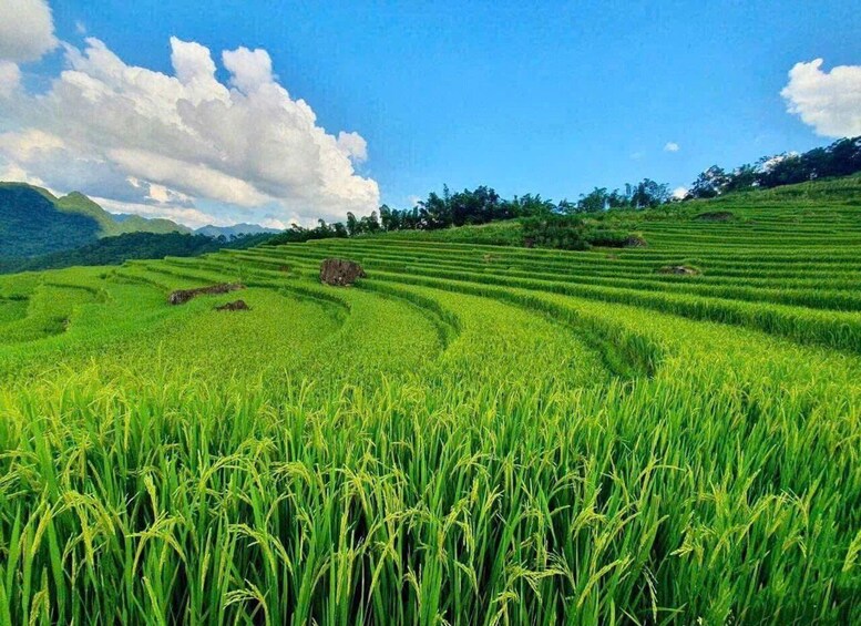 Picture 6 for Activity Hanoi: 2-Day Mai Chau Valley, Pu Luong with Thai folk dance 3