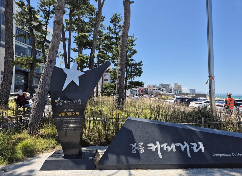 Picture 8 for Activity From Seoul: Daegwallyeong Ranch & BTS Bus Stop Join-in Tour 2