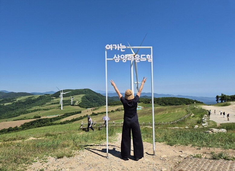 Picture 4 for Activity From Seoul: Daegwallyeong Ranch & BTS Bus Stop Join-in Tour 5