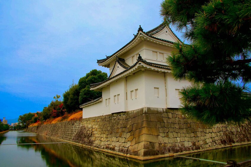 Picture 2 for Activity Kyoto: Nijo Castle Tour & Zen Tea Ceremony & Photography 2