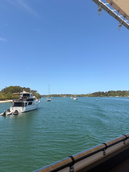 Picture 3 for Activity Tweed Heads: River & Rainforest Photography Cruise 3