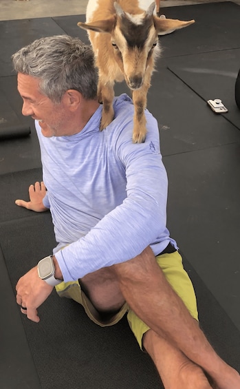 Picture 3 for Activity Goat Yoga Near Glacier National Park 2