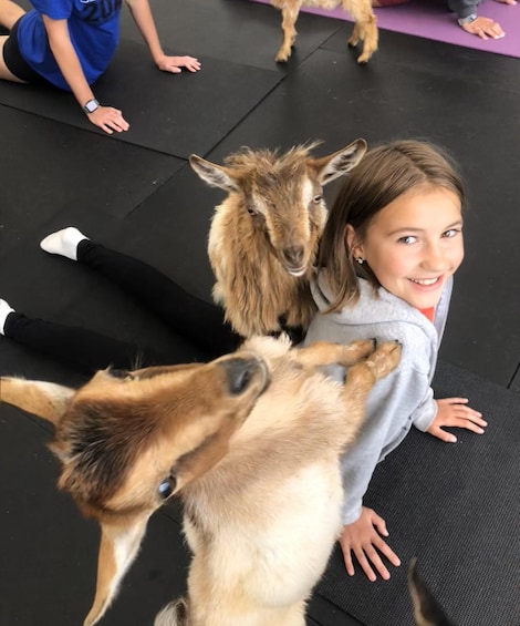 Goat Yoga Near Glacier National Park 1