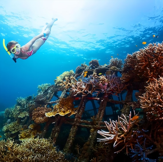Best Snorkeling Adventure in Bali with Exciting Activities 1