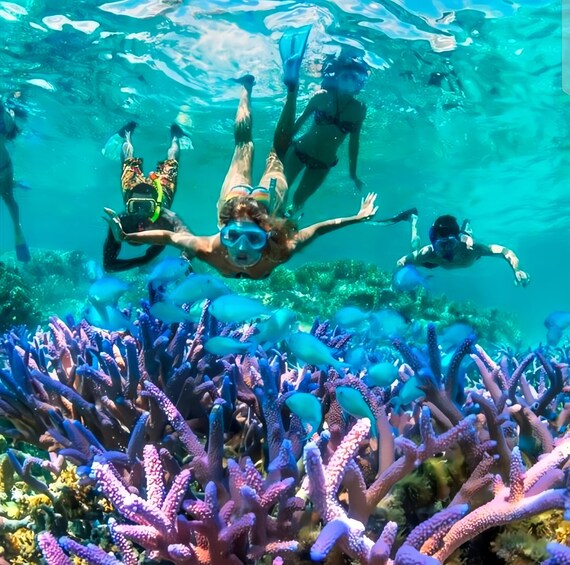 Picture 3 for Activity Best Snorkeling Adventure in Bali with Exciting Activities 3