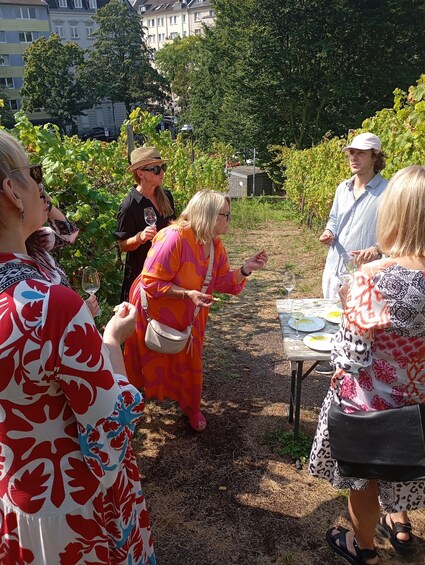 Picture 8 for Activity Cologne: Wine Museum Tour, Tasting, and Guided Walk 4