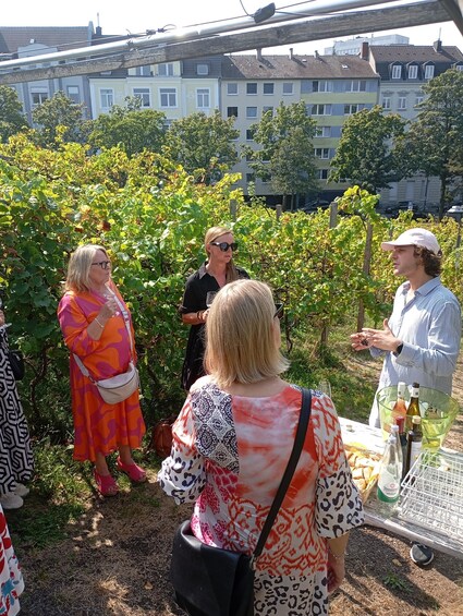 Picture 7 for Activity Cologne: Wine Museum Tour, Tasting, and Guided Walk 2