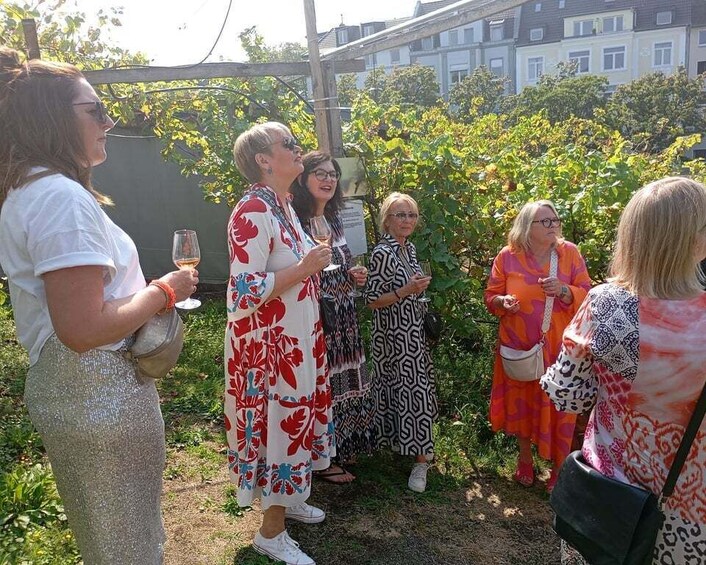 Cologne: Wine Museum Tour, Tasting, and Guided Walk 1