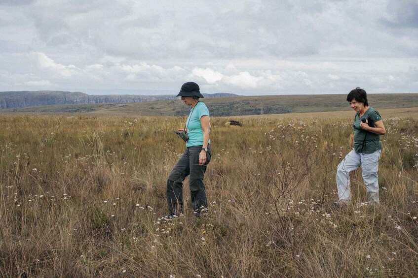 Picture 35 for Activity From São Paulo: 5-Day Serra da Canastra Wildlife Safari 3