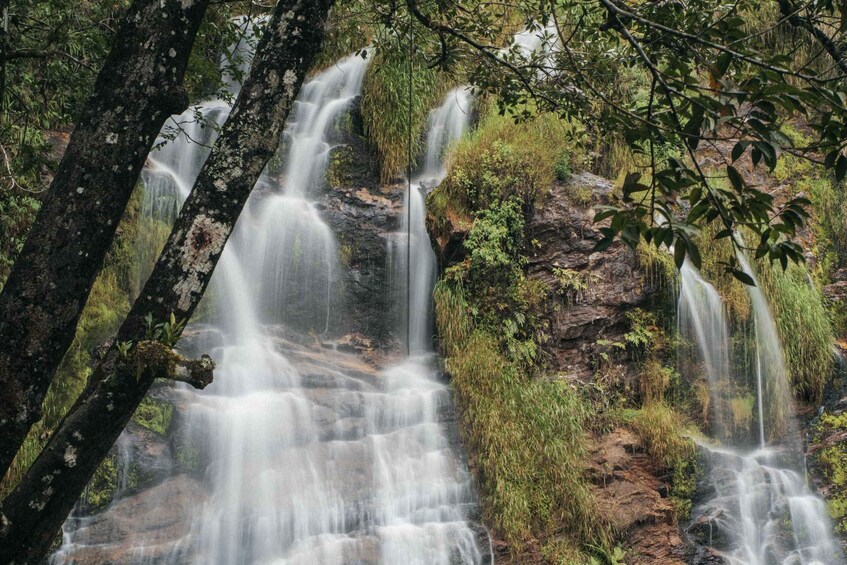 Picture 85 for Activity From São Paulo: 5-Day Serra da Canastra Wildlife Safari 4