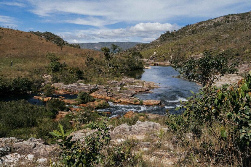 Picture 76 for Activity From São Paulo: 5-Day Serra da Canastra Wildlife Safari 2