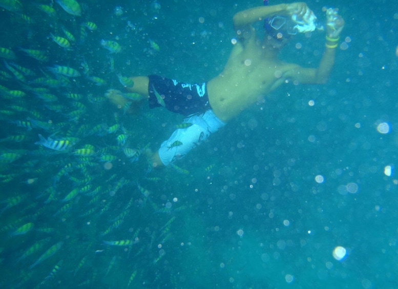 A person snorkeling underwater surrounded by fish. 4