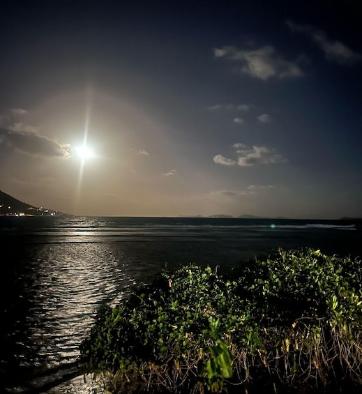 Picture 3 for Activity Culinary Adventure Walk on St. John: Food Tour & More! 1