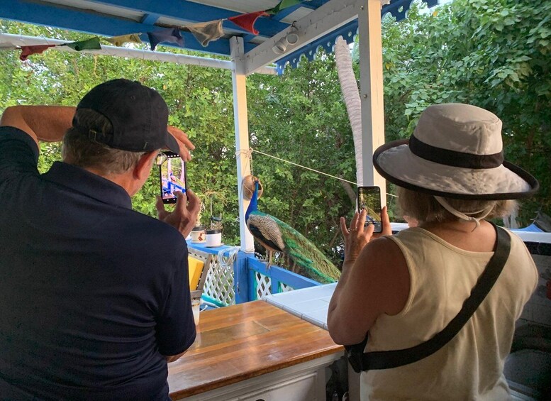 Picture 1 for Activity Culinary Adventure Walk on St. John: Food Tour & More! 4