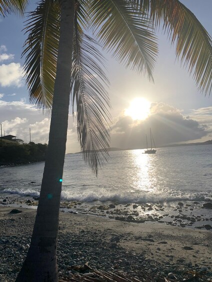 Picture 4 for Activity Culinary Adventure Walk on St. John: Food Tour & More! 2